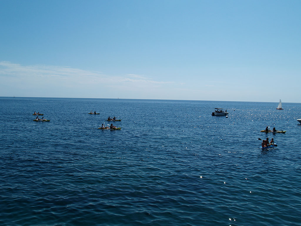 Kayak Tour